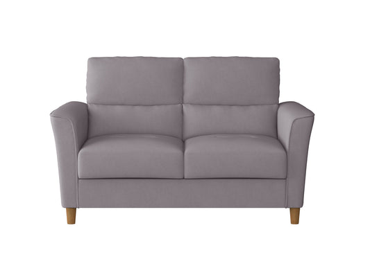 Gray 2-seater loveseat with plush cushions, sleek wooden legs, and modern design, ideal for small living rooms. Upholstered in soft fabric, perfect for cozy seating and contemporary decor.