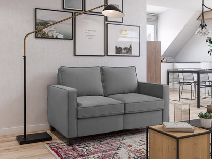 Modern 2-seater loveseat in grey fabric with plush cushions, wooden legs, and sleek armrests. Ideal for contemporary living rooms.