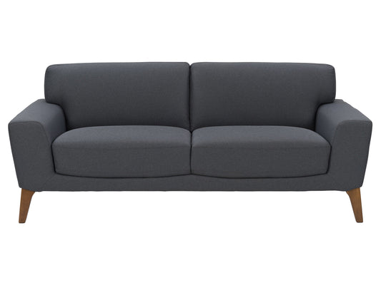 Dark grey 3-seater sofa with plush cushions, modern design, and wooden legs. Upholstered in durable fabric, perfect for contemporary living rooms.