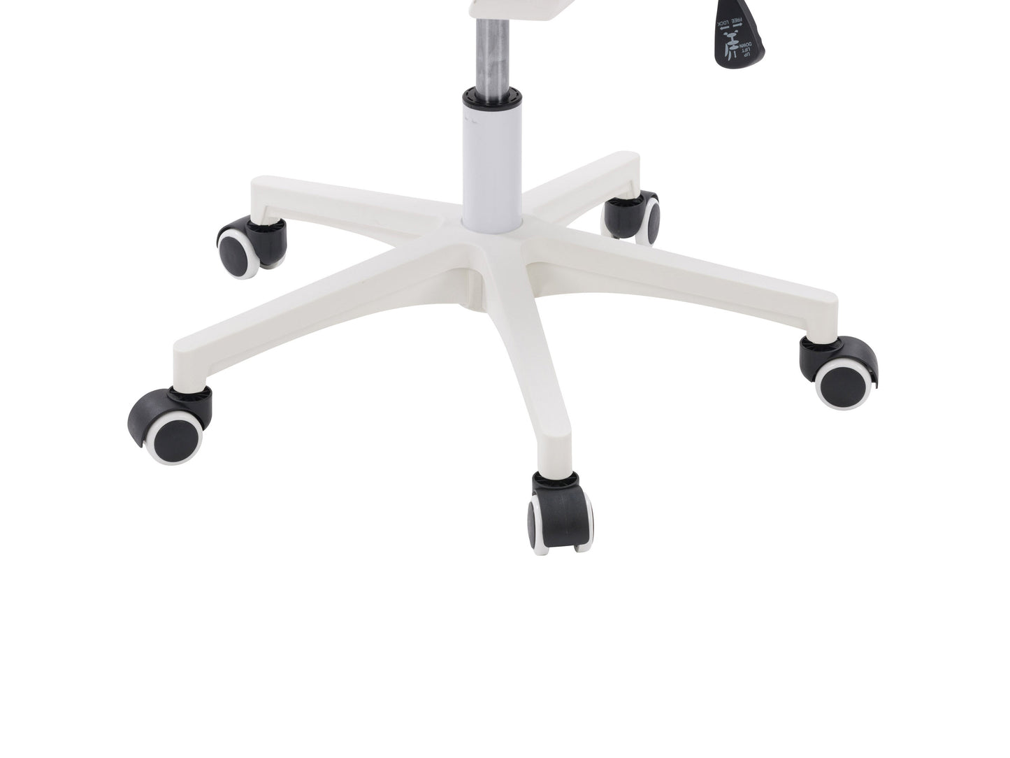 Teal mesh task chair with ergonomic design, white frame, adjustable armrests, lumbar support, and swivel base. Ideal for office use.