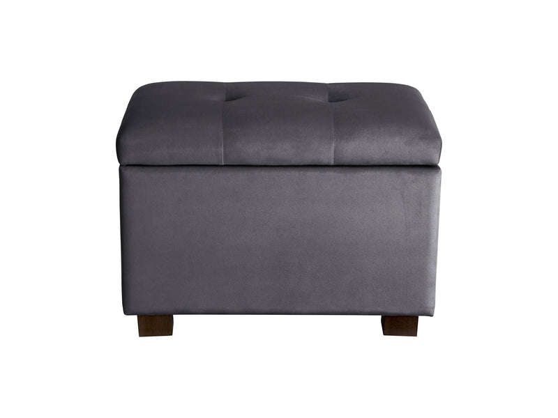grey Velvet Ottoman with Storage Asha Collection product image by CorLiving